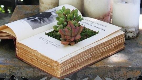 book flowerpot